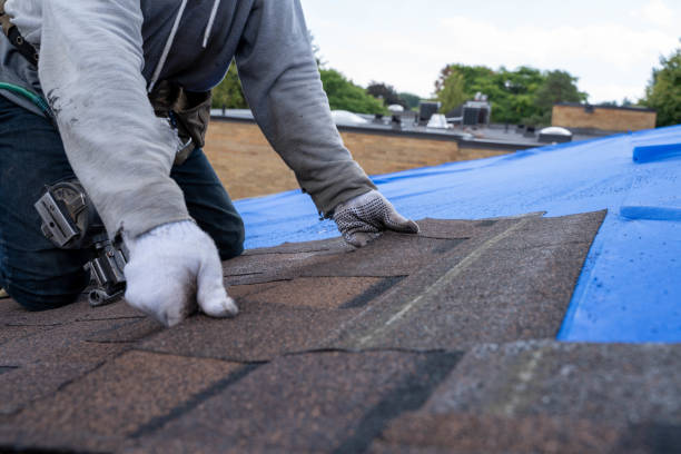 Best Best Roofing Contractors  in Brookston, IN