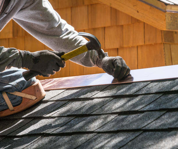 Best Roof Gutter Cleaning  in Brookston, IN